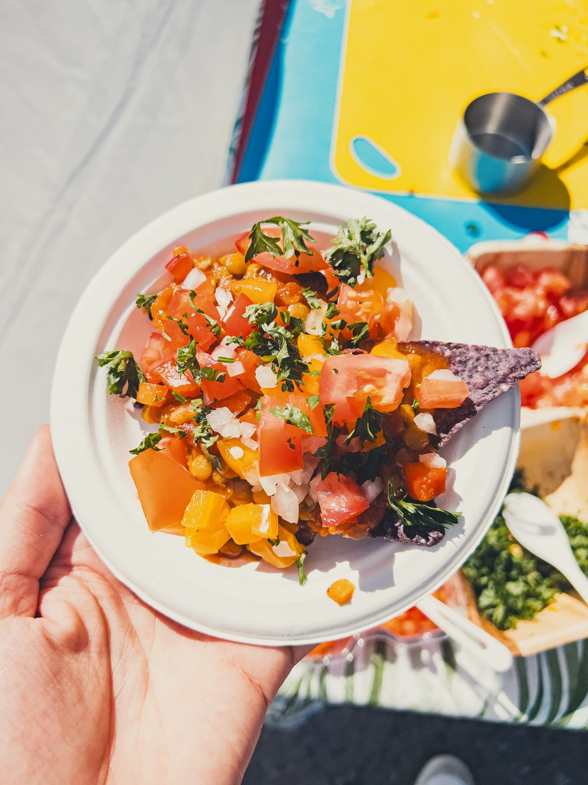 Fresh salsa and pico plate in the sun